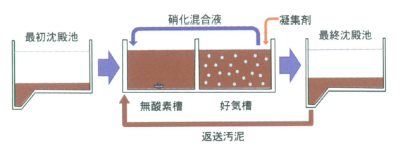 凝集剤併用型循環式硝化脱窒法